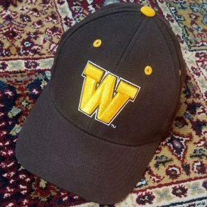 Vintage 90s Zephyr Wyoming Cowboys Adjustable Hat